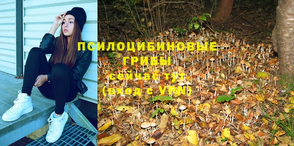 дурь Нижневартовск