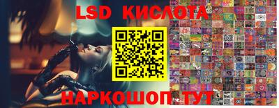прущие грибы Дубна