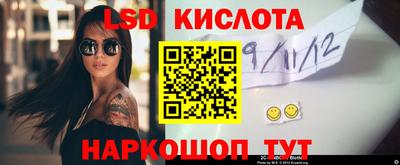 прущие грибы Дубна