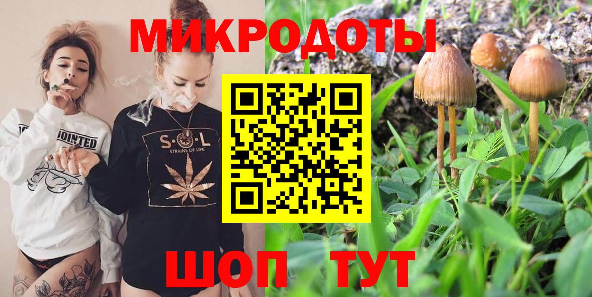Псилоцибиновые грибы Psilocybine cubensis  Вход с VPN  Арсеньев  Галлюциногенные грибы Psilocybe 